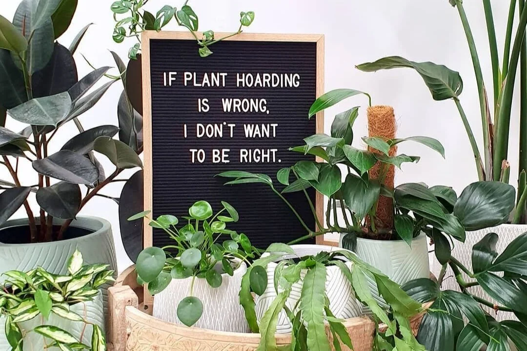 Flower Power Products