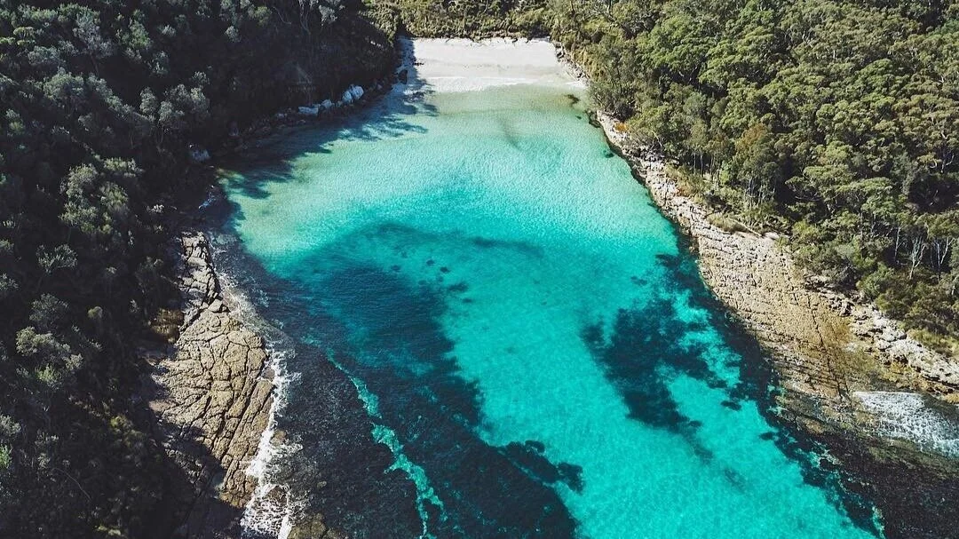  Image credit: Dom Forty 