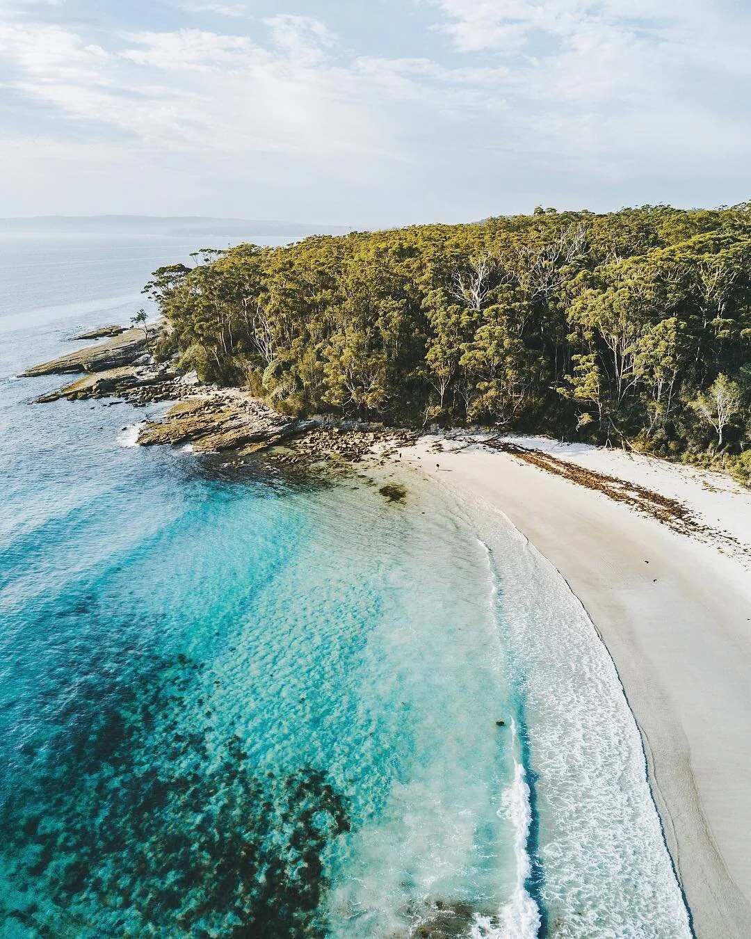  Image credit: Dom Forty 