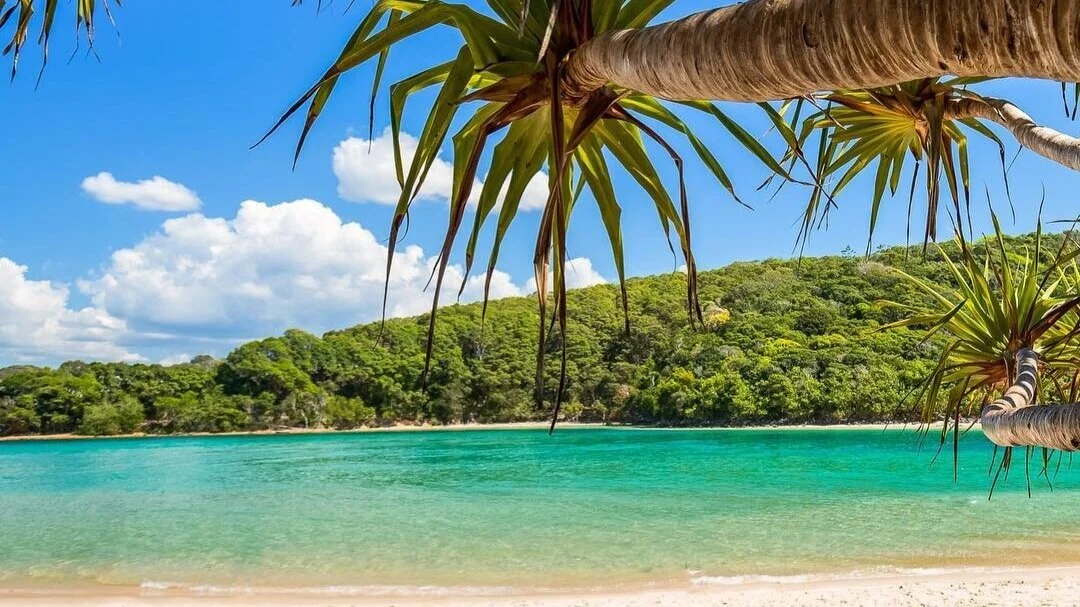  Image credit: stu _ art_photos 