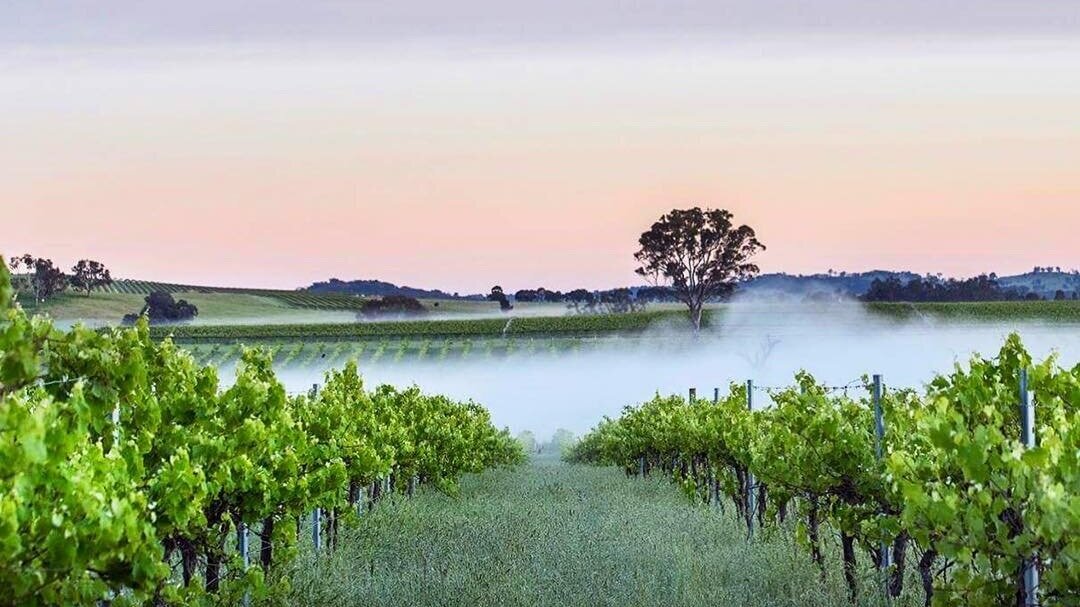  Image credit: The Mudgee Project 