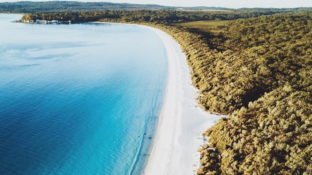  Image credit: Dom Forty 