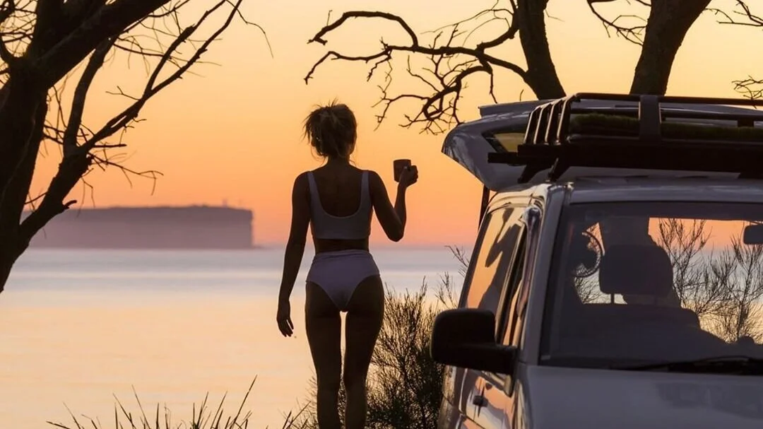  Image credit: Somethings Wild 