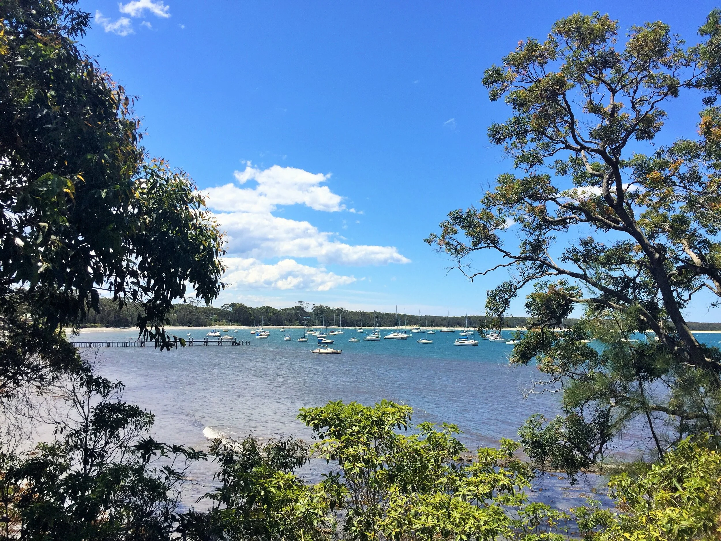 Callala Bay Beach Walks.JPG