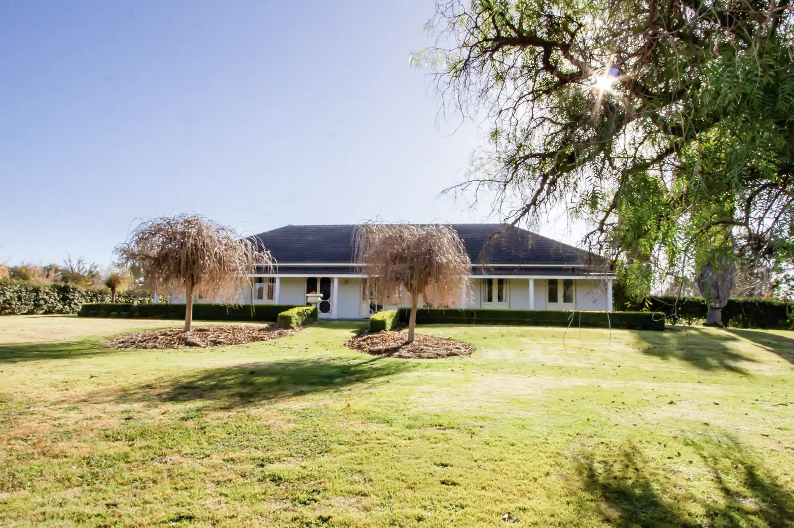 Screen Shot 2020-07-15 at 2.40.05 pm.png