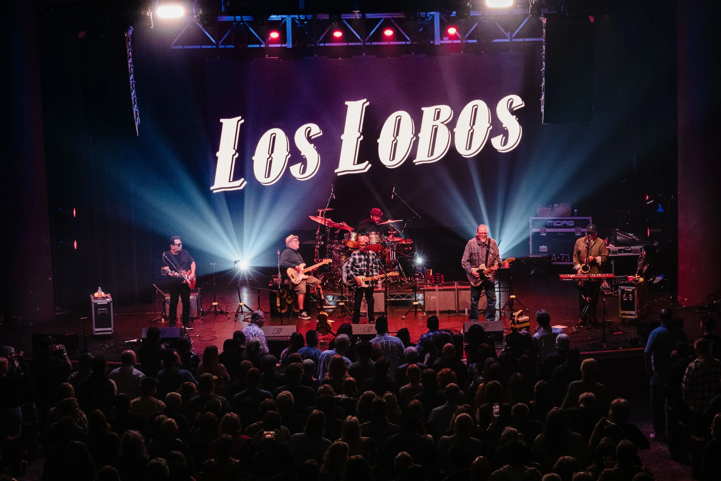 20241019 DSCF5393 by Arthur Robinson.JPG