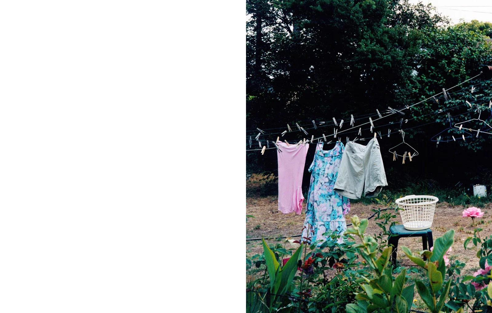 ec_backyard_1.jpg