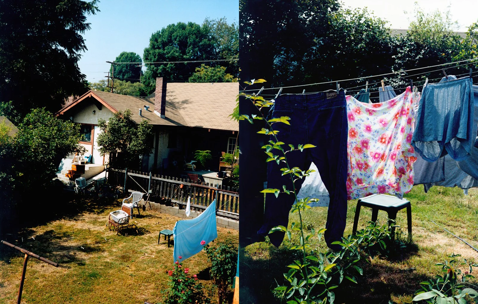ec_backyard_2-3.jpg