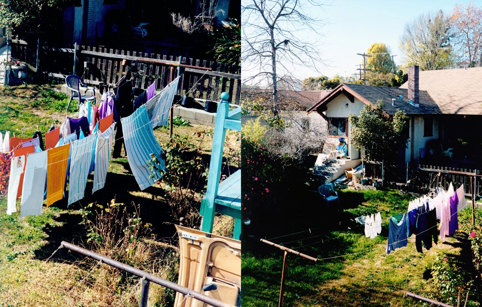 ec_backyard_12-13.jpg