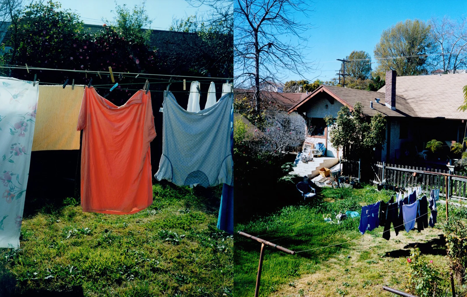 ec_backyard_16-17.jpg