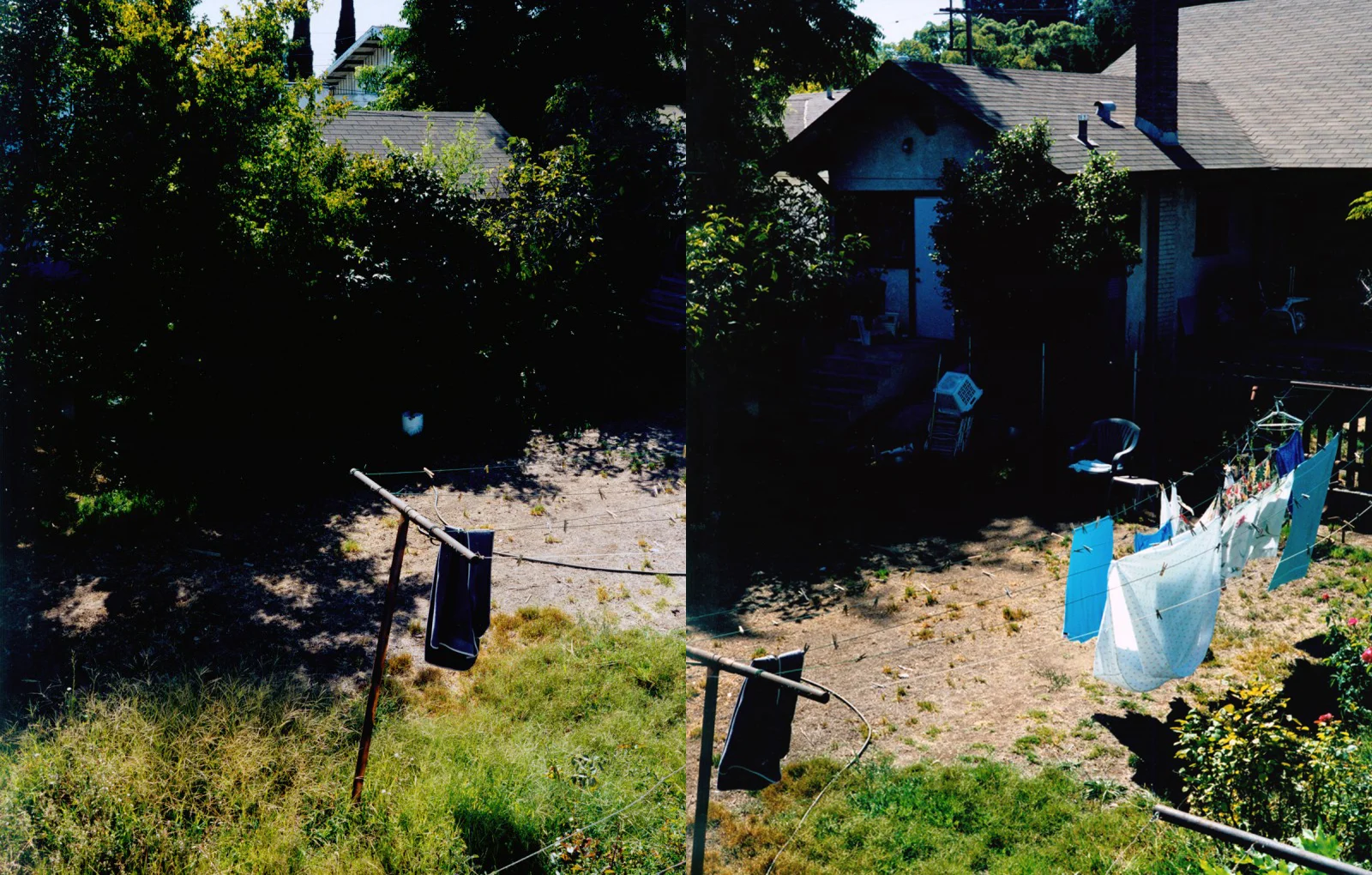 ec_backyard_22-23.jpg