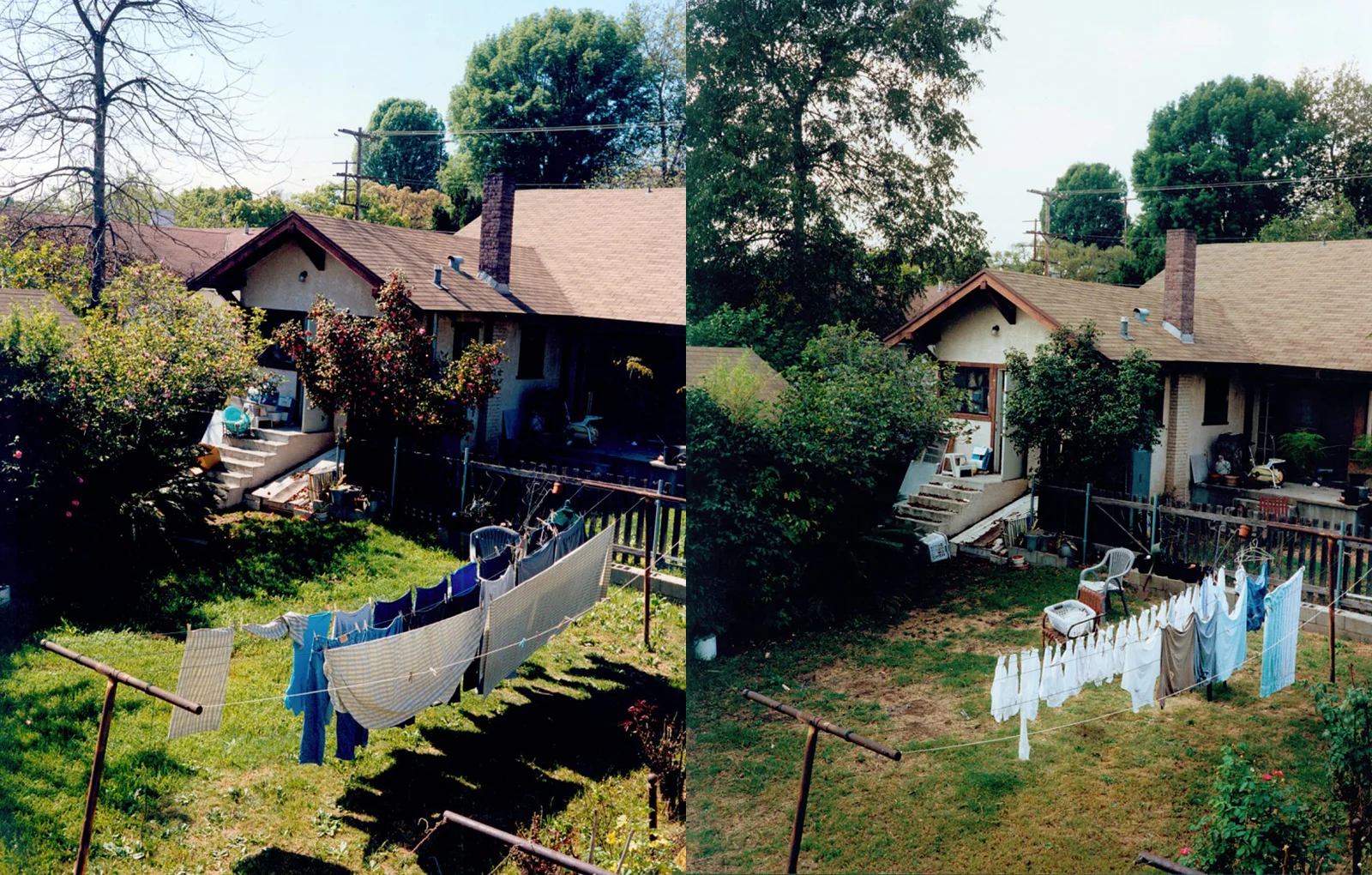 ec_backyard_40-41.jpg