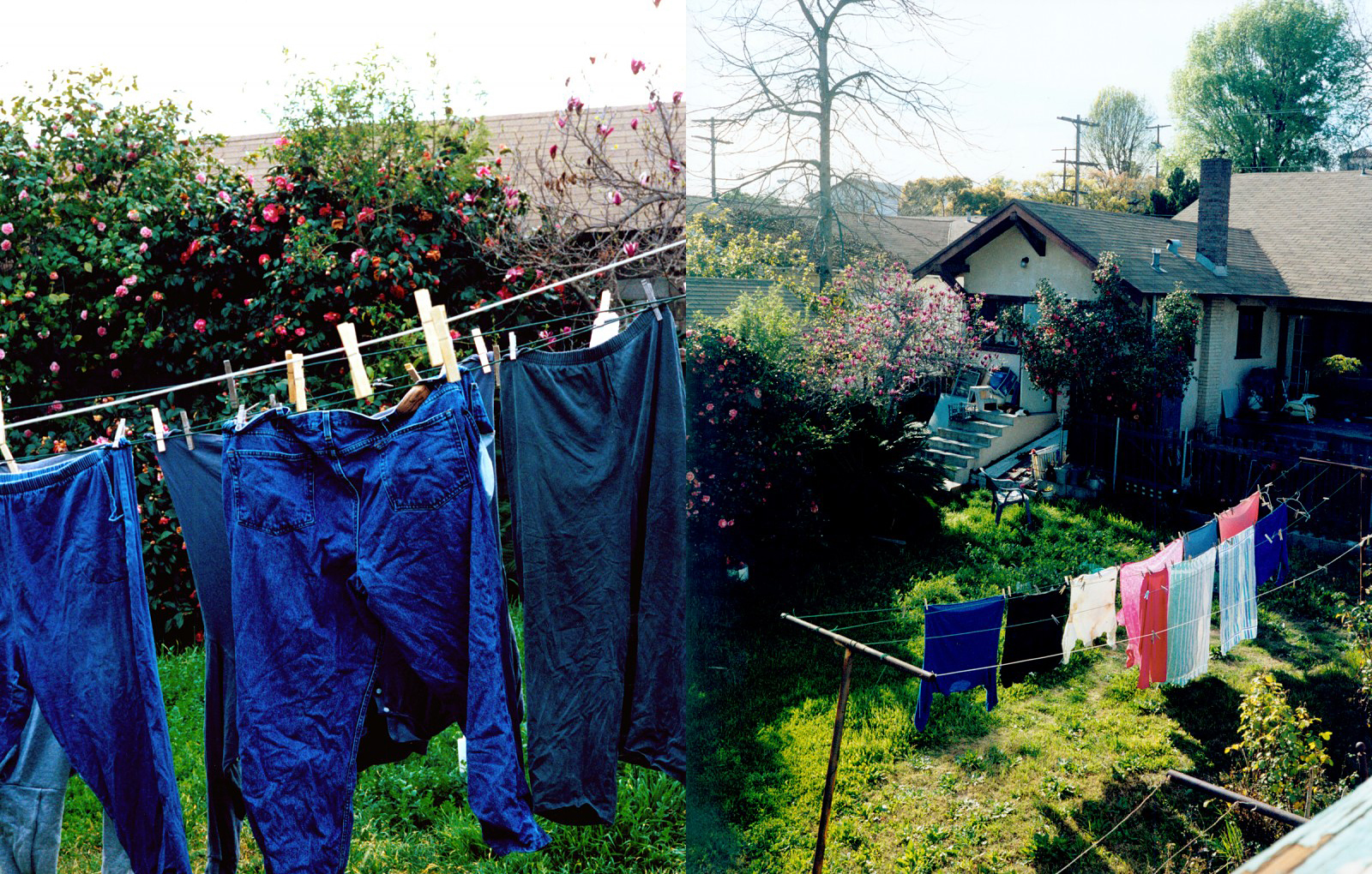 ec_backyard_42-43.jpg