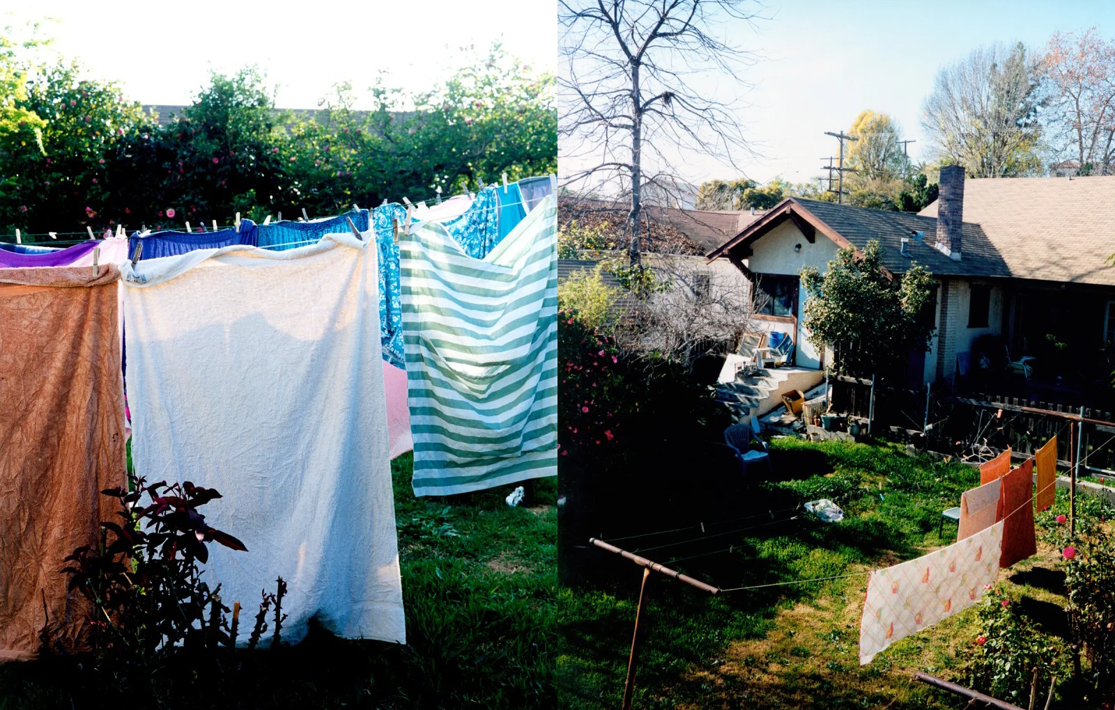 ec_backyard_52-53.jpg