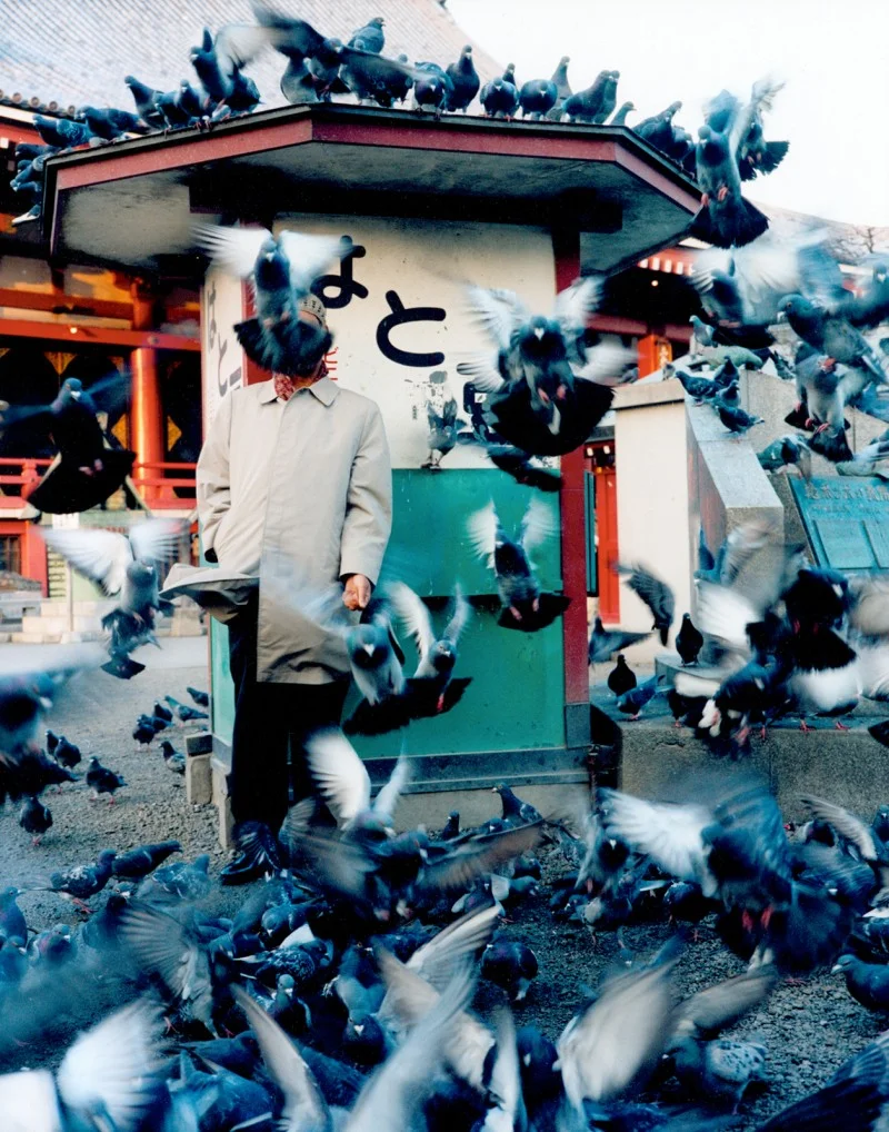 18_madlibpigeons-800x1018.jpg
