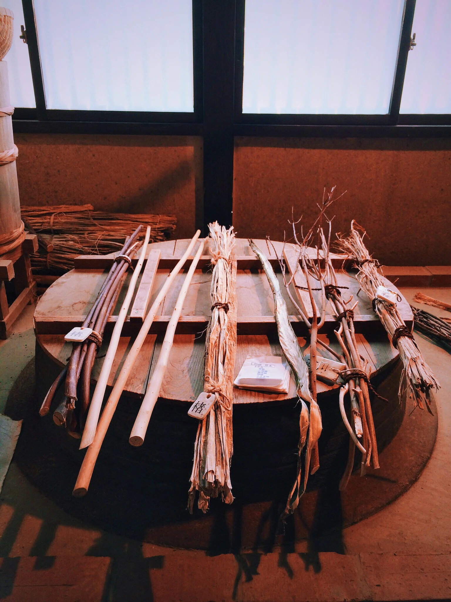 Stages of the kozo plant