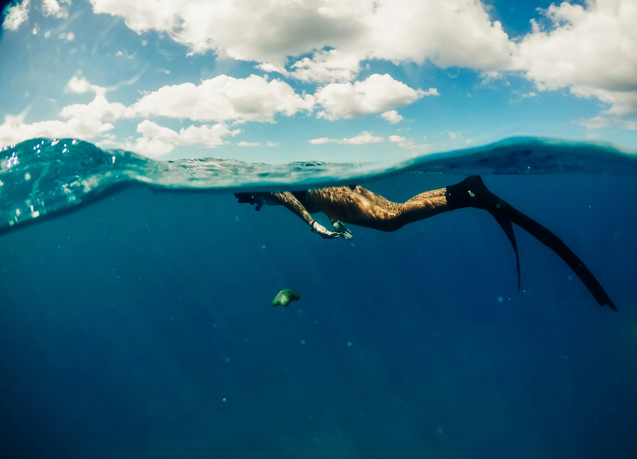 Underwater copy 1.jpg