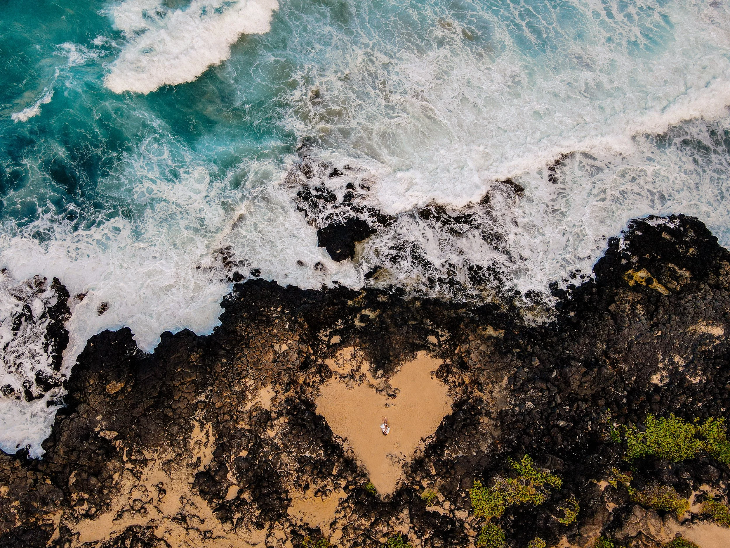 Makapu'u Beach Surprise Proposal - Oahu, Hawai'i