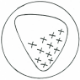icon-video.png