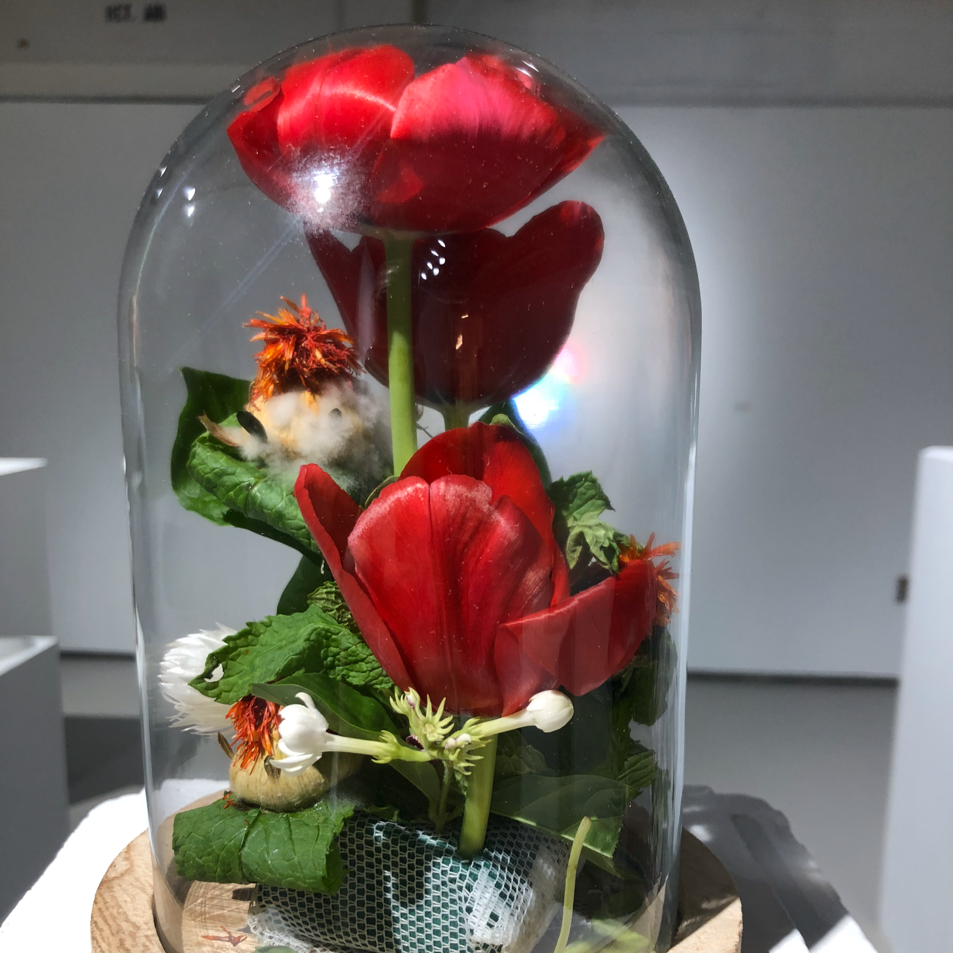 Language of Flowers, 2020
