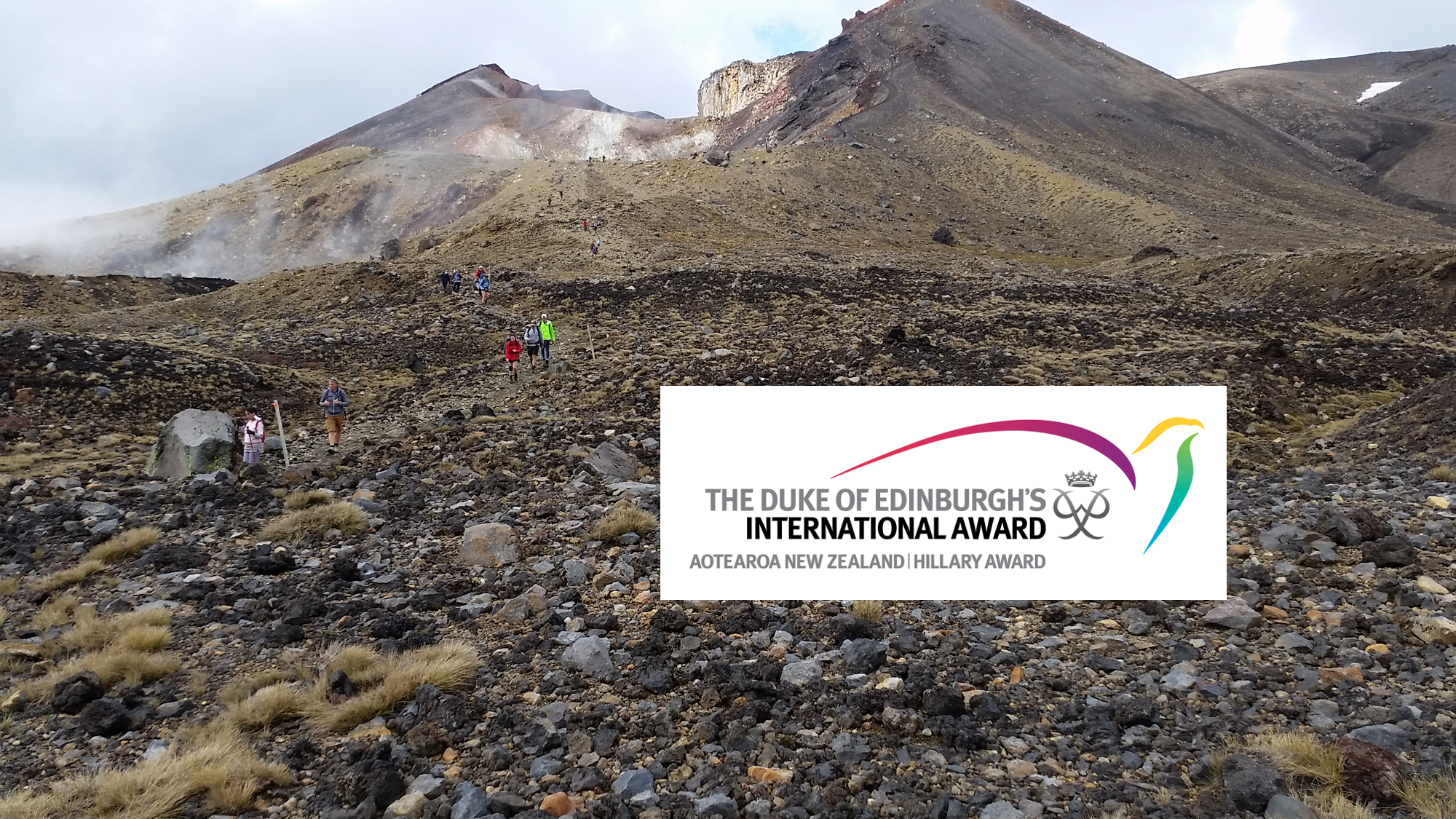 Website DofE logo.png