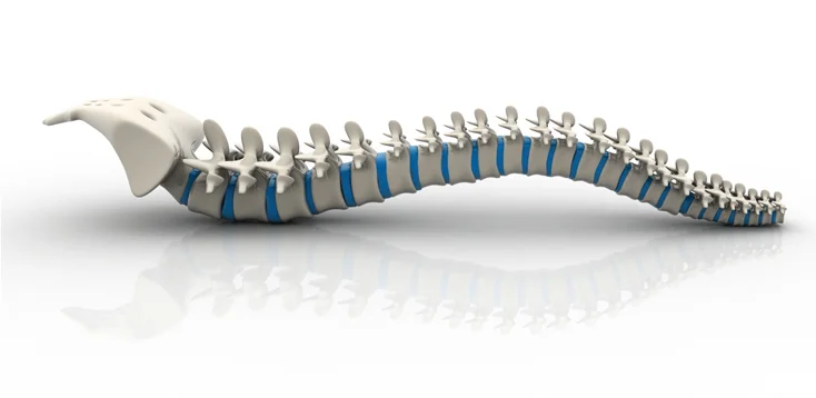 Three spinal mobilisations you can do daily without a therapist