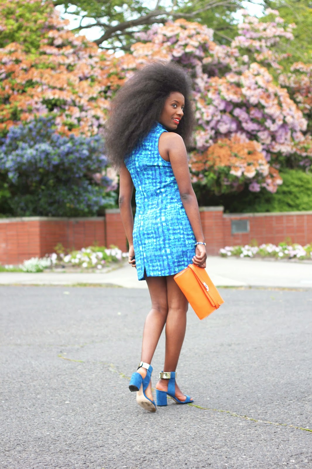 blue5.jpg