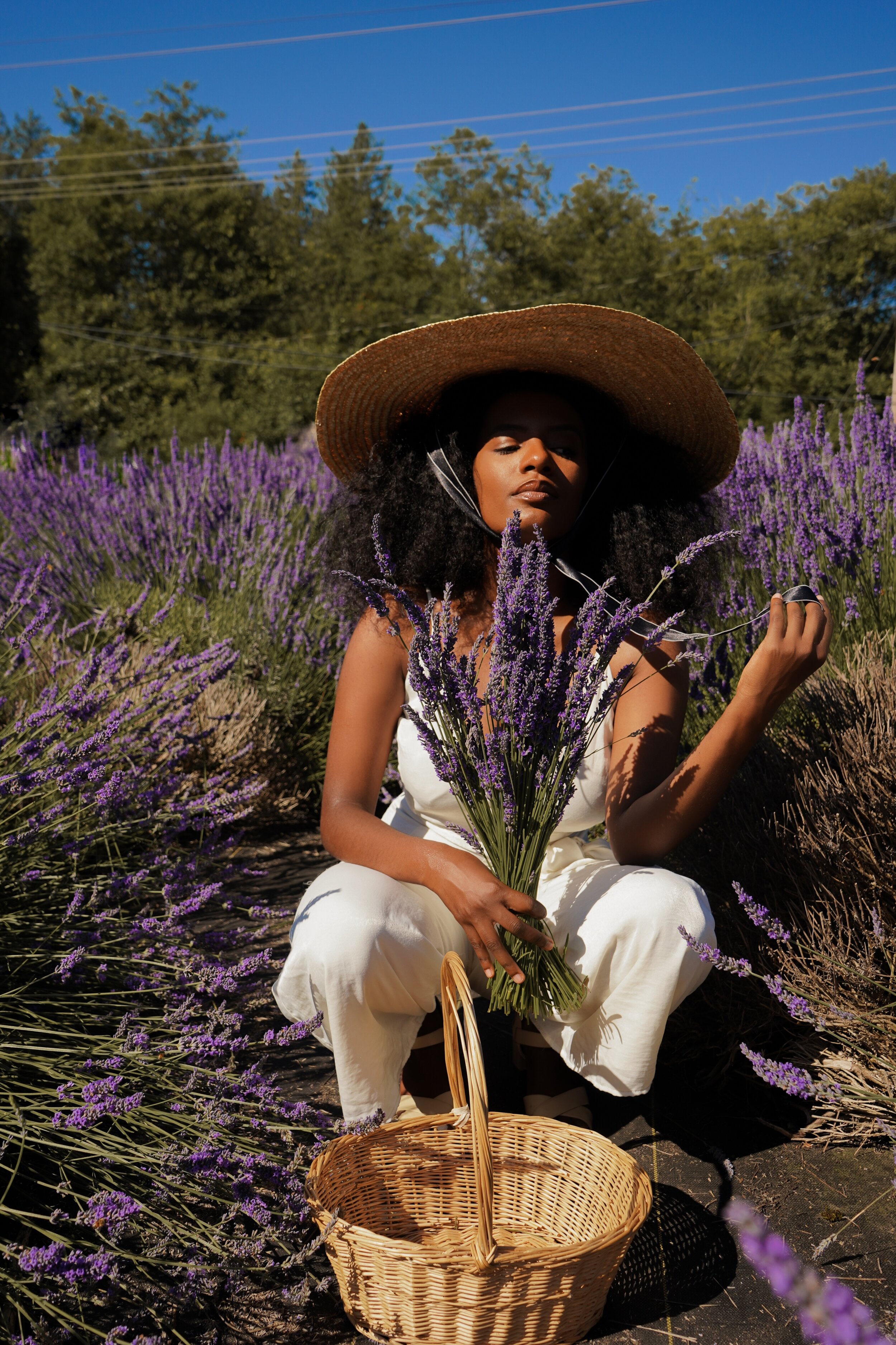 Snowfalls Lavender Farm - Amro Menor.JPG