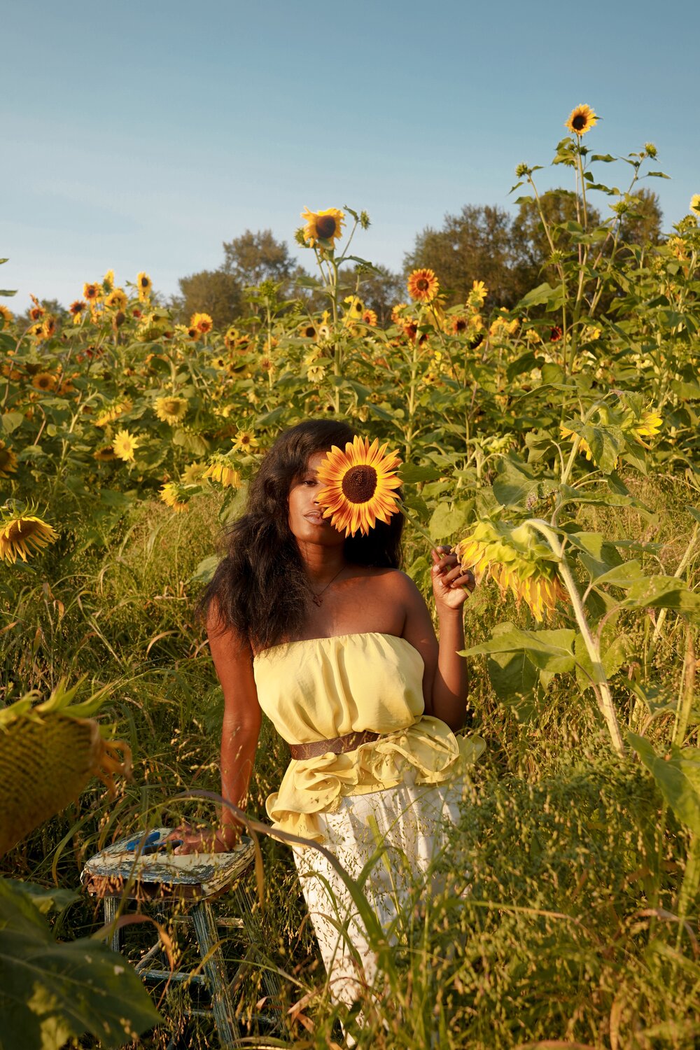 Washington Sunflower Fields-Amro Menor.JPG