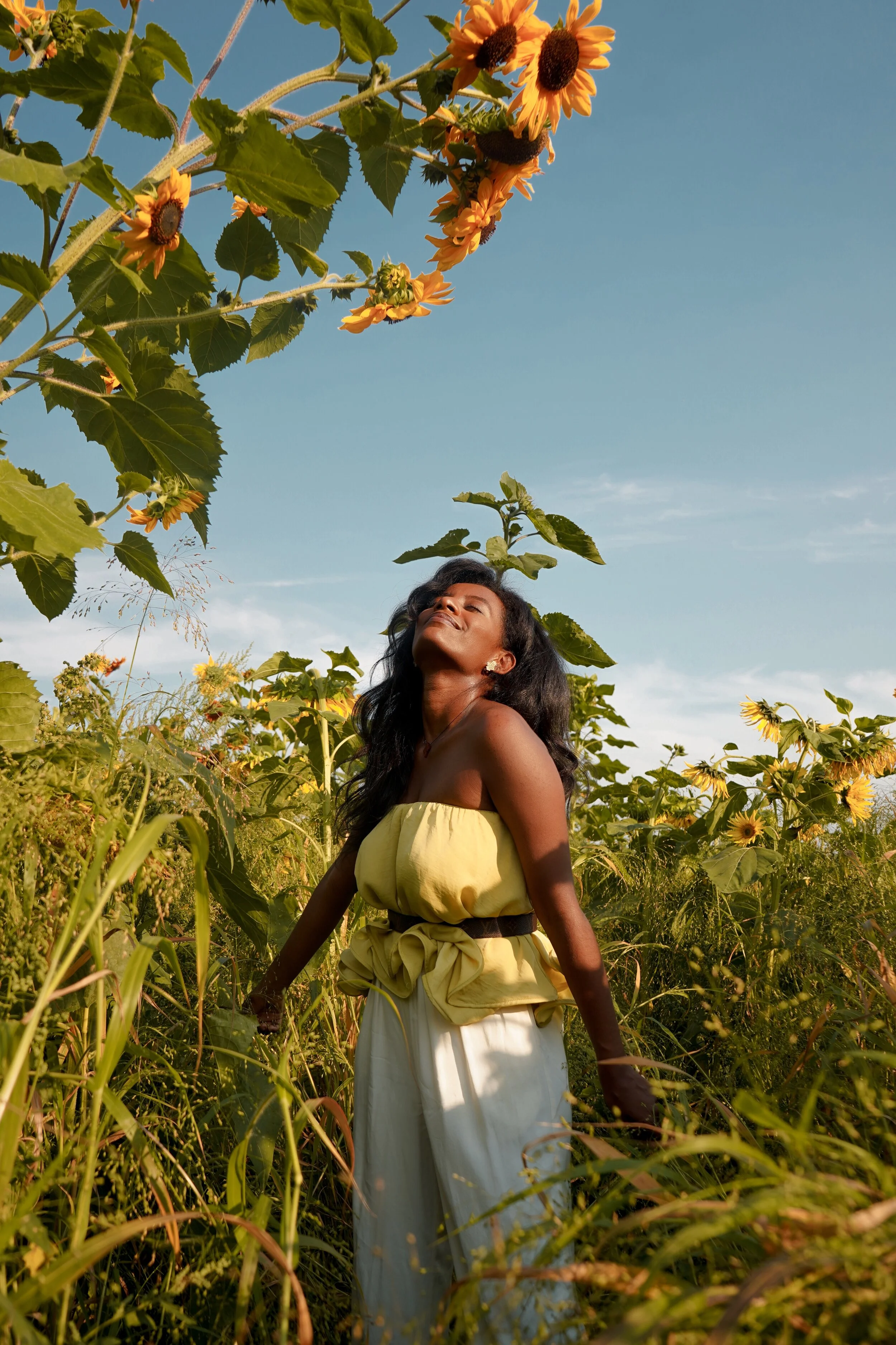 6 Sunflower Farms You Must Visit In Seattle 