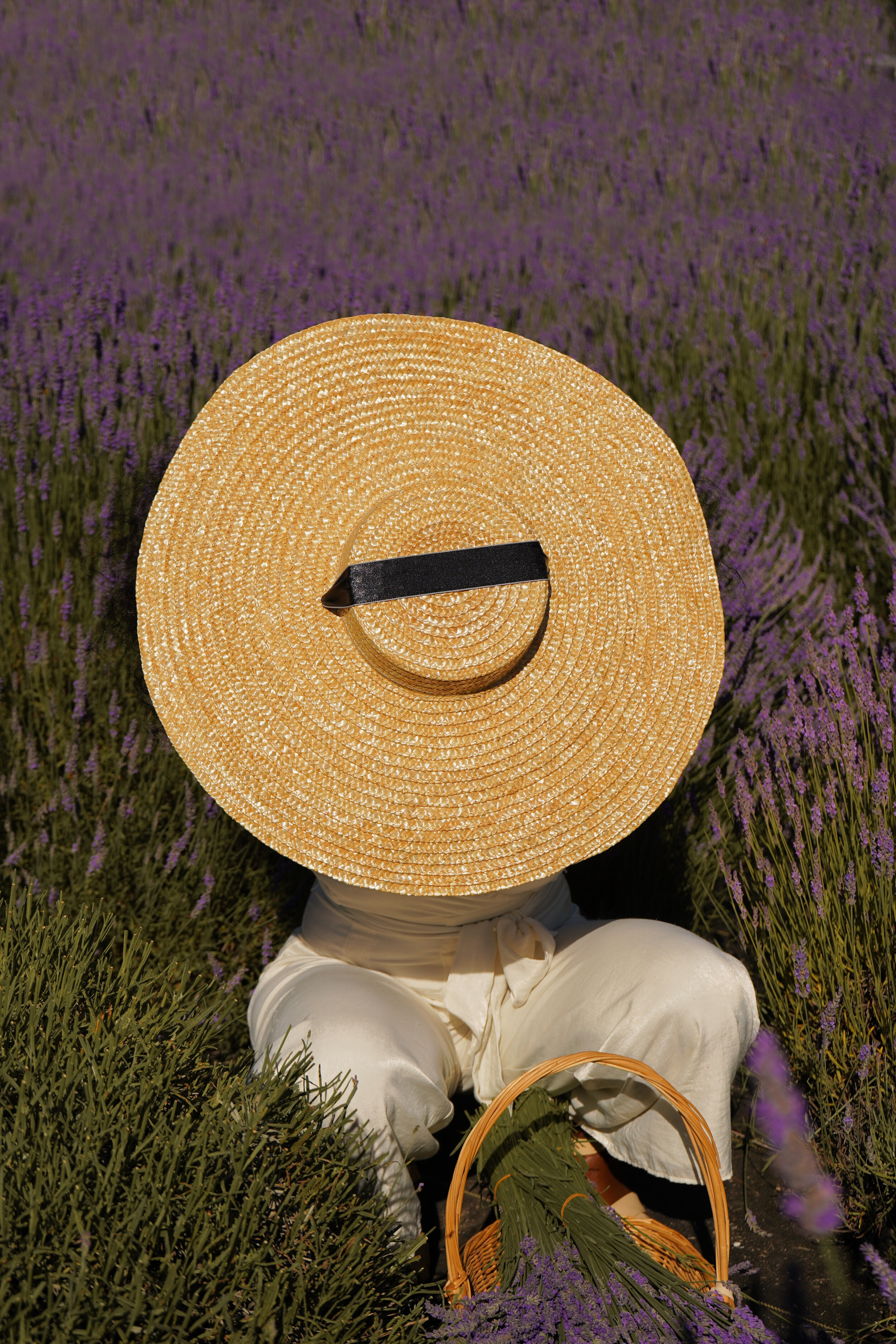 Lavender Field Seattle- Amro Menor.jpg