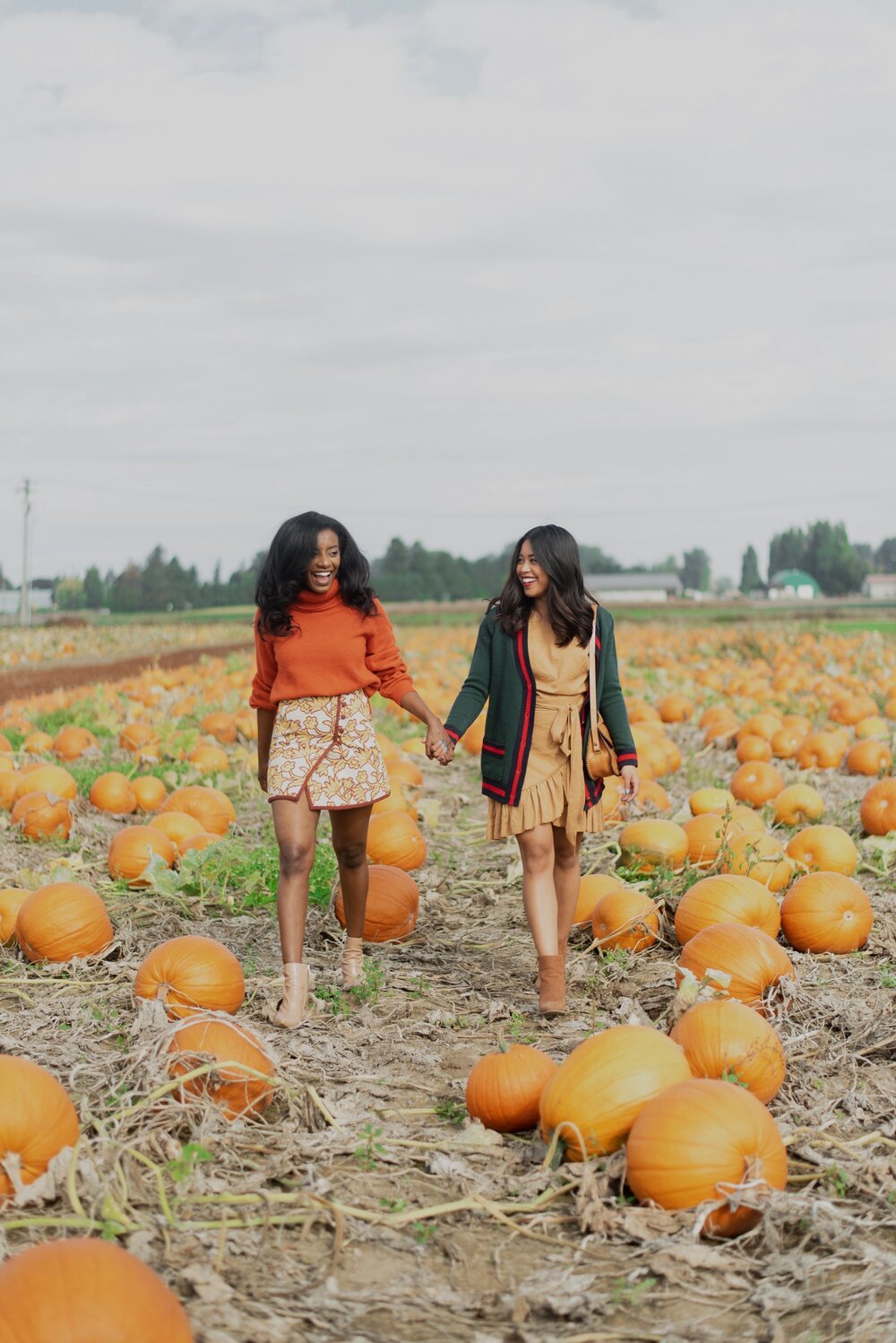 Pumkin Patches and Farms In Seattle 