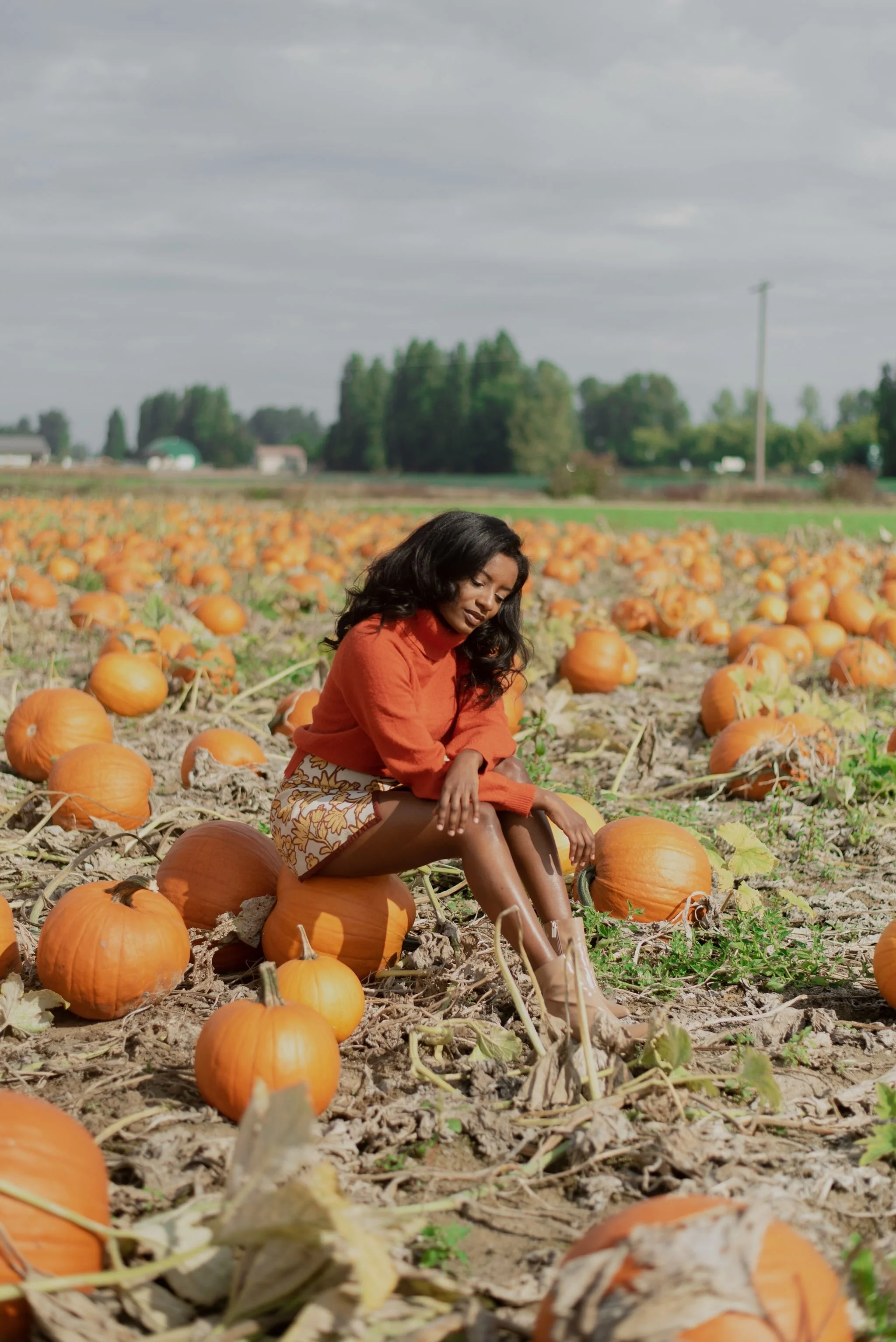 5 Pumpkin Patches and Farms Near Seattle