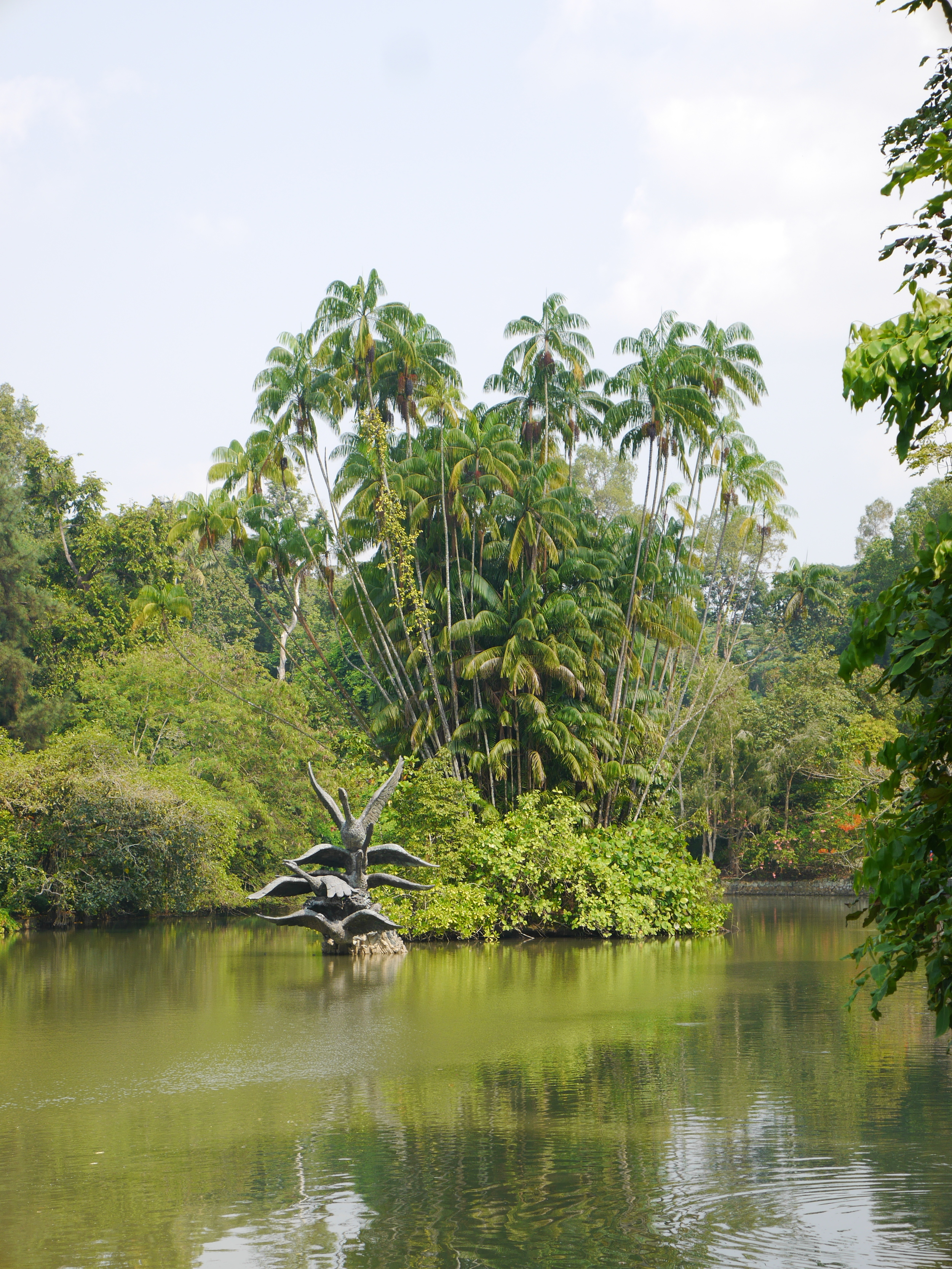  Swan statue in a lake. I thought it seemed to mimic the palms sprouting out of the island. 