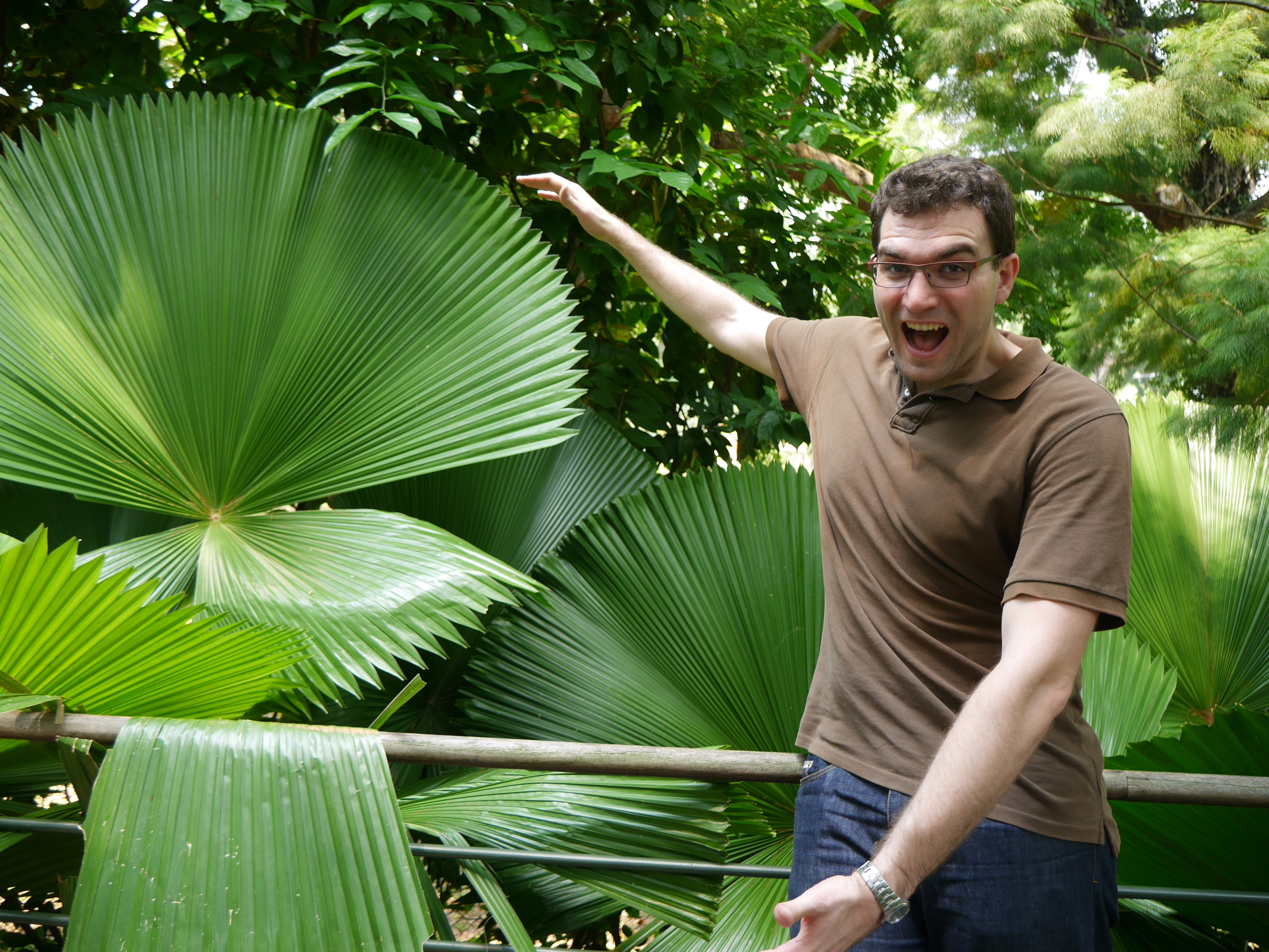  Me, under considerable duress, highlighting the size of these palm fronds. 