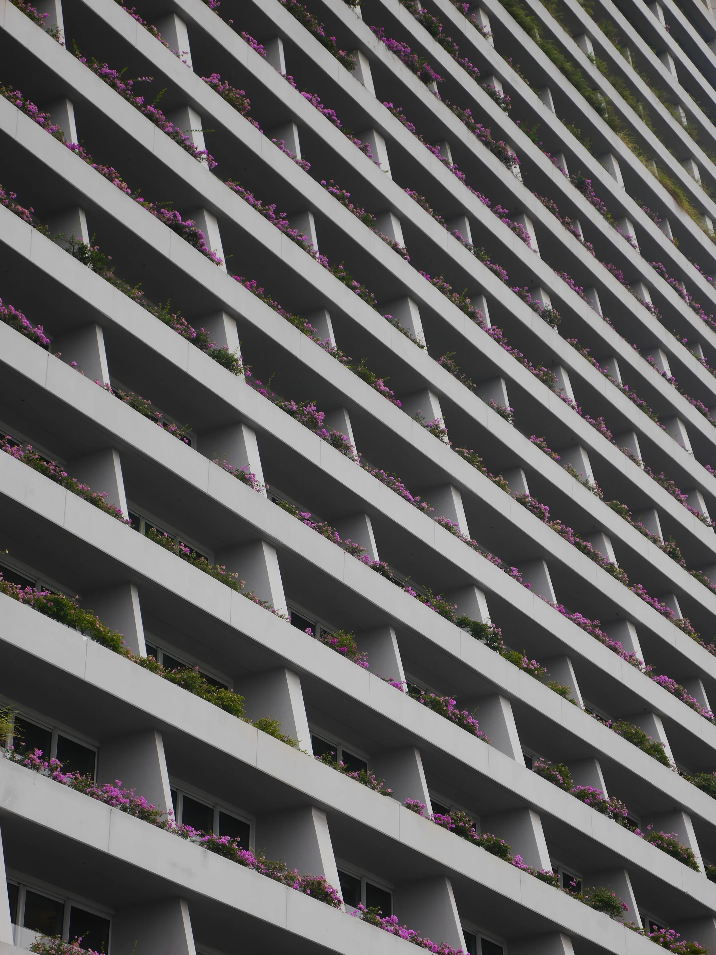  Flowers on balconies. 