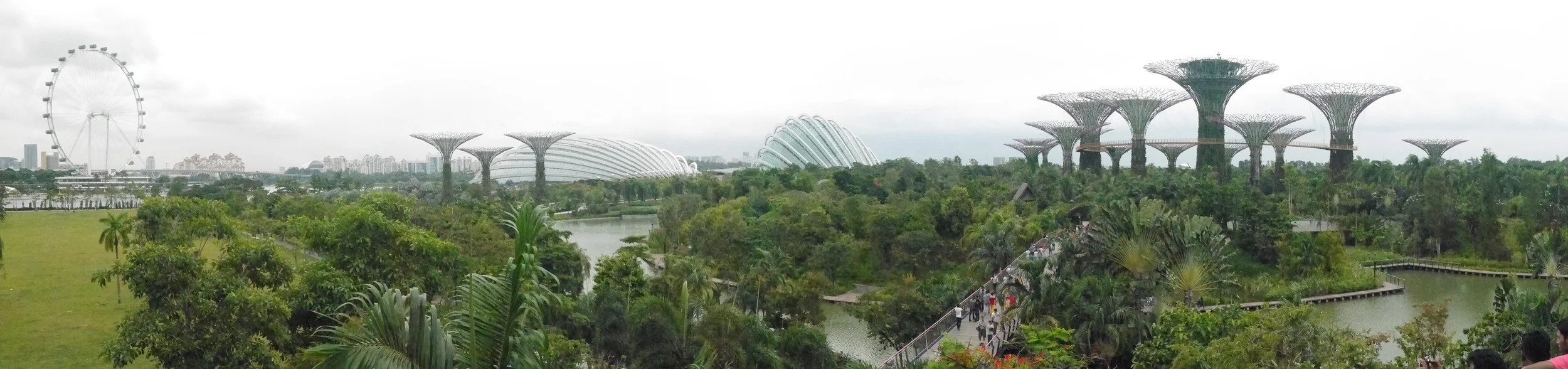 From left to right: the Singapore Flyer (giant Ferris wheel), the Flower Dome, the Cloud Forest Dome, and the Supertree Grove.