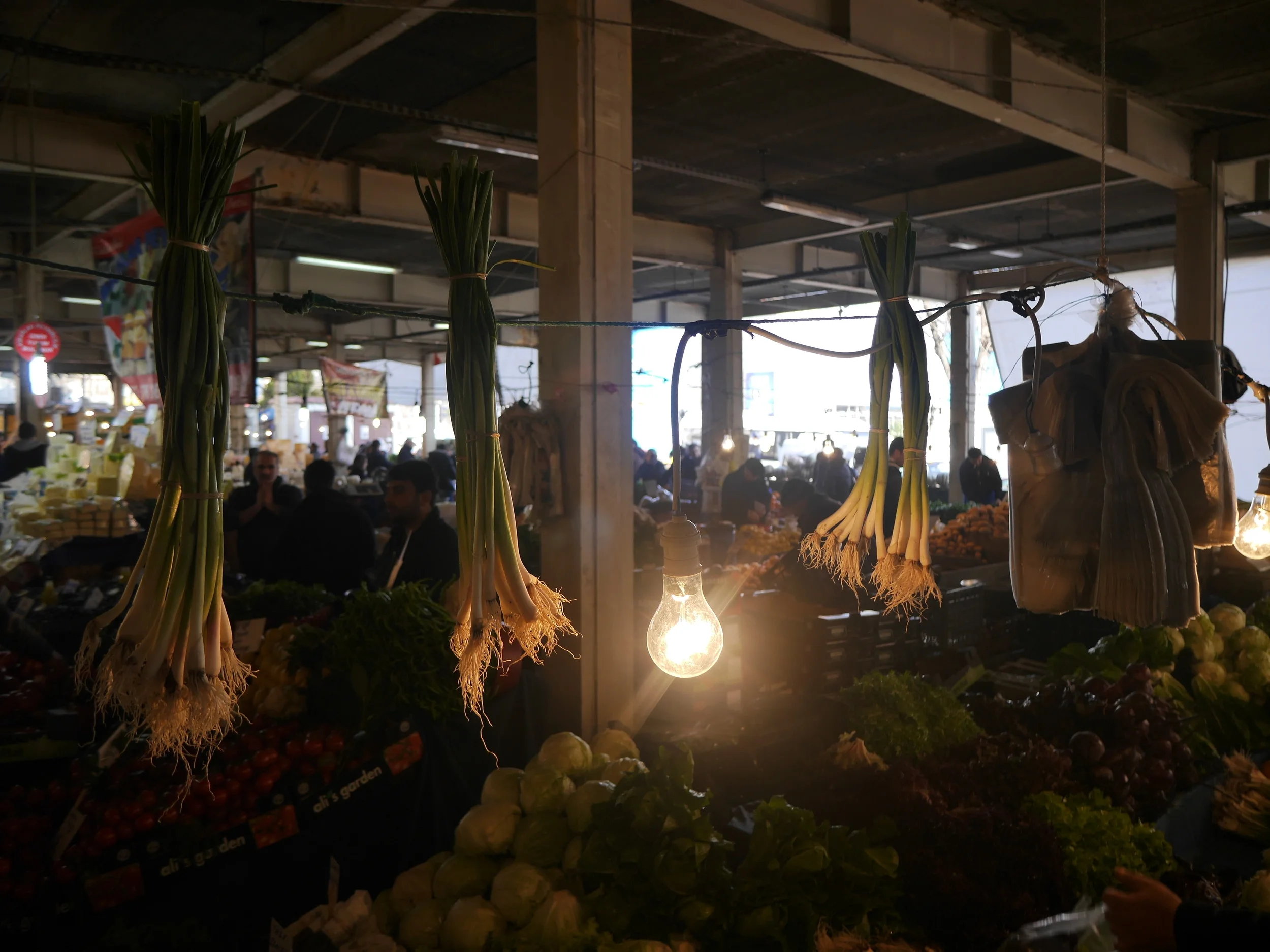  Green onions and a light bulb. 