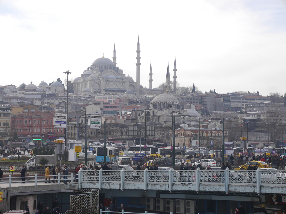  The  Suleymaniye Mosque  sitting atop a hill. 