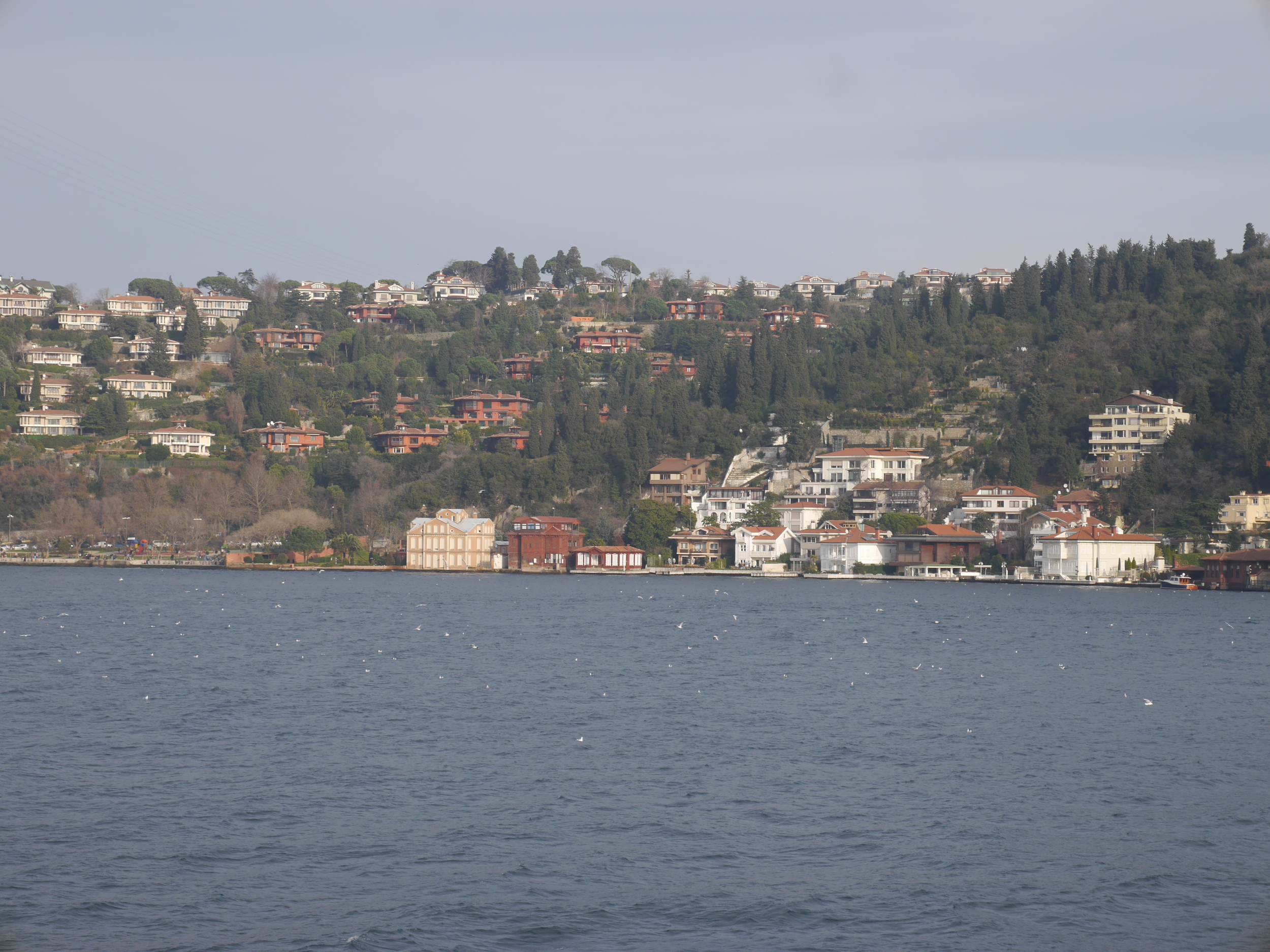  Pretty red and white houses amid the green. 