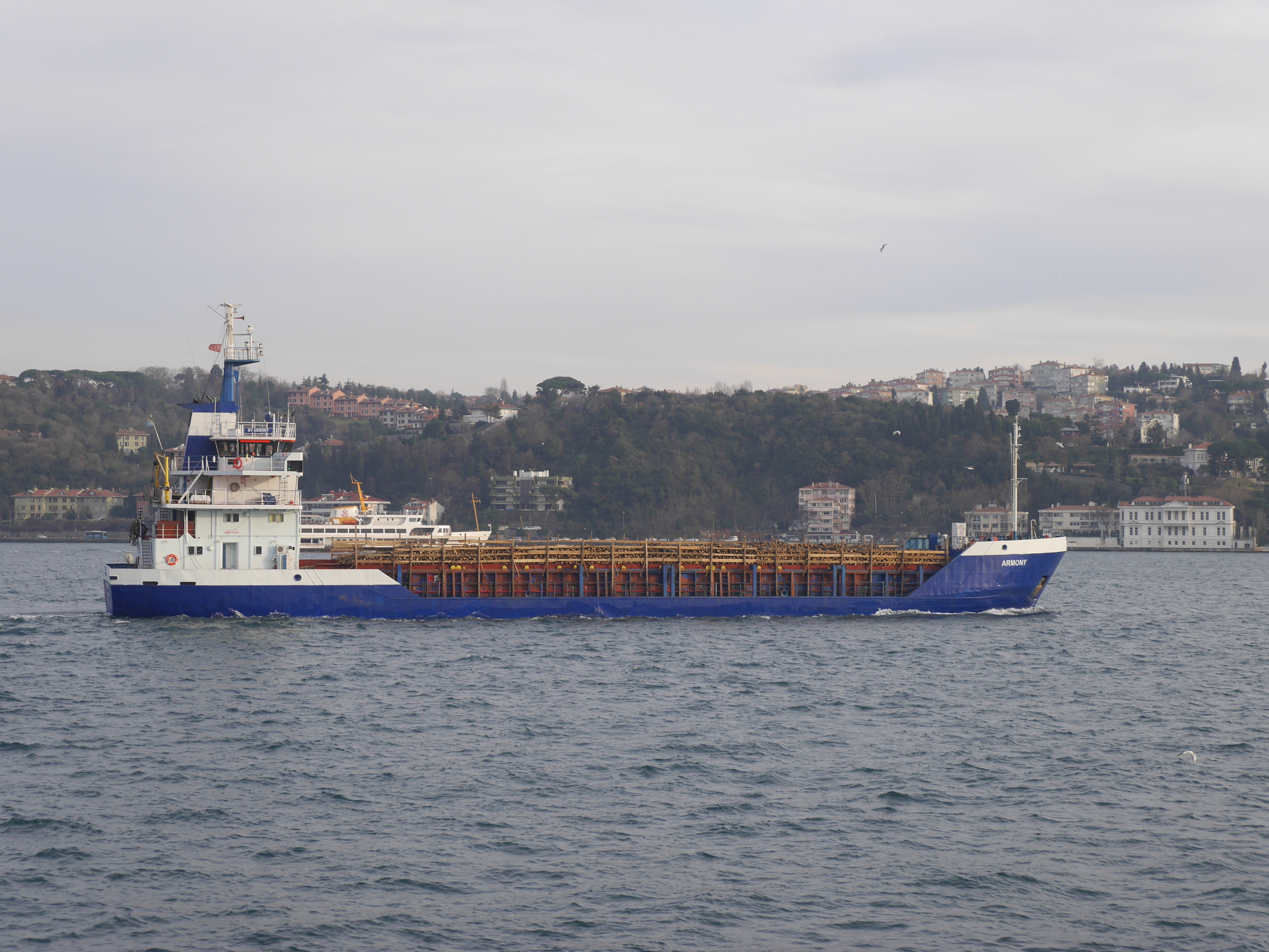  This big ship has wood. 