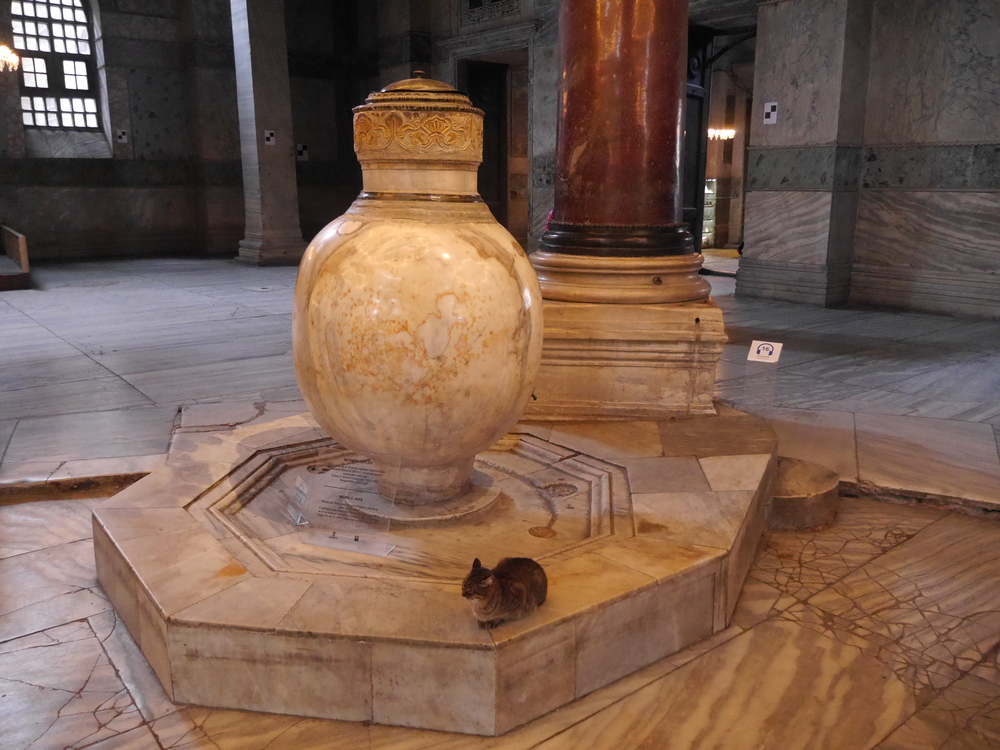  Obligatory kitty, chilling next to a marble urn that is probably over 1,000 years old. 