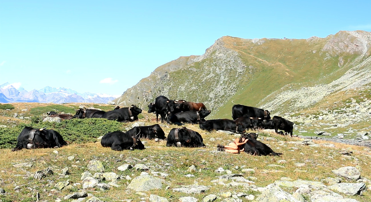 Cows_and_Queens_I.jpg
