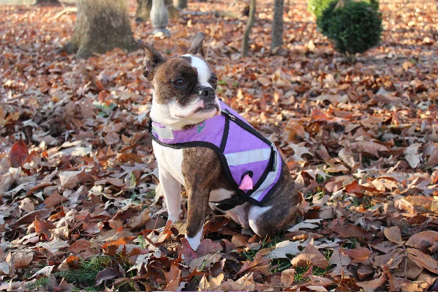 Jonni in Purple vest.jpg
