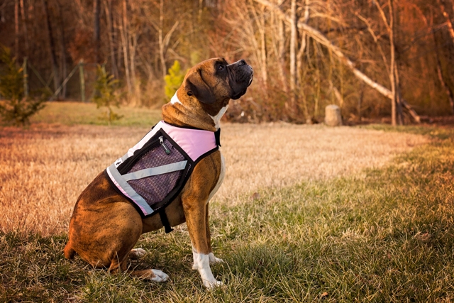 Mesh Pocket side on Pink Vest.jpg