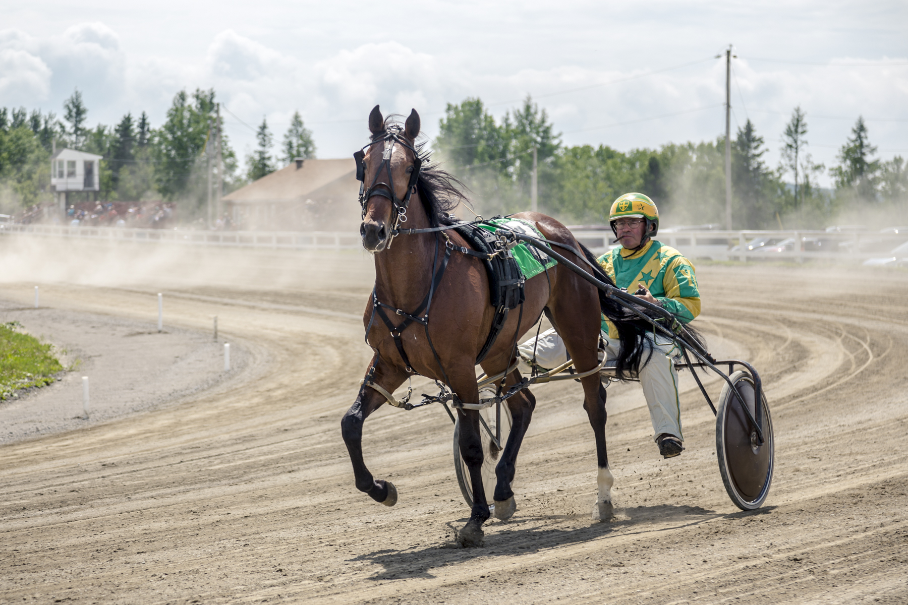 Circuit Régional des Courses de Chevaux du Québec - Hippodrome de Nouvelle - Tora Photography