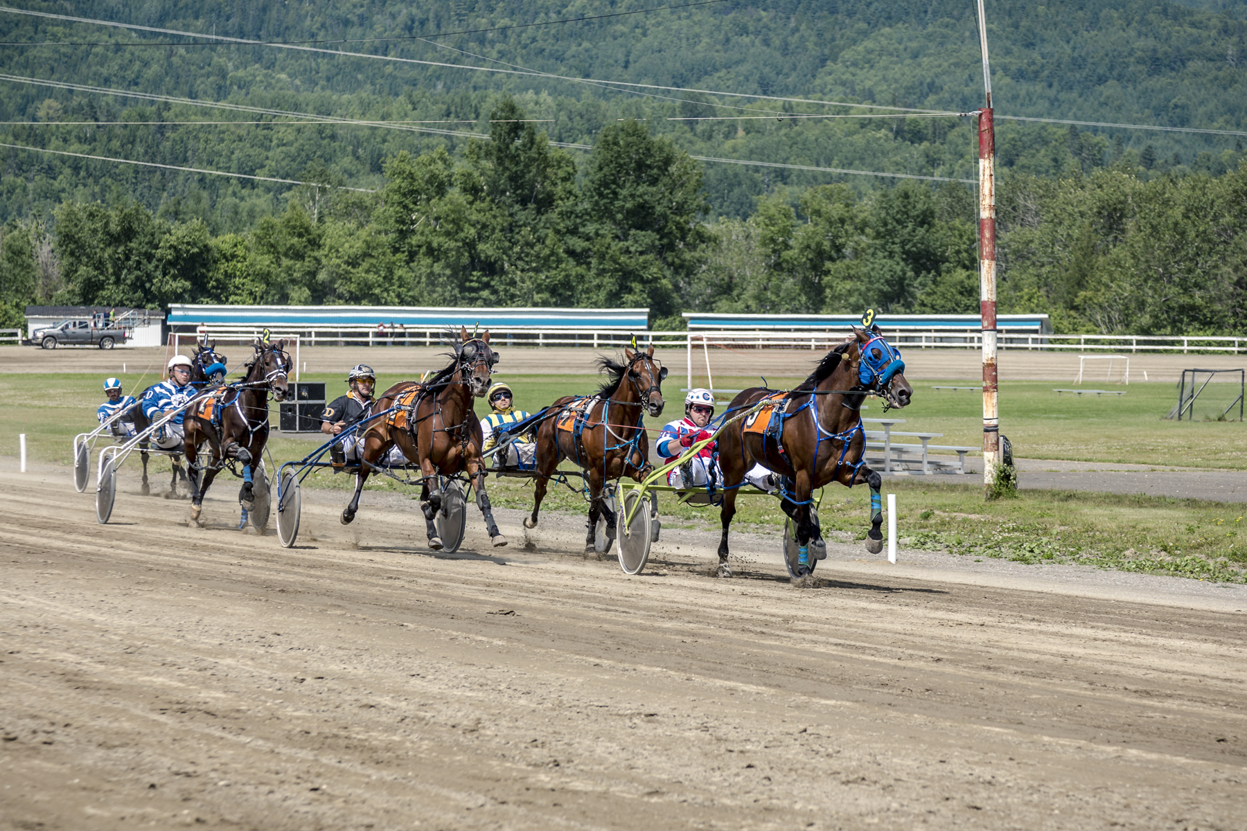 Circuit Régional des Courses de Chevaux du Québec - Hippodrome de Nouvelle - Tora Photography