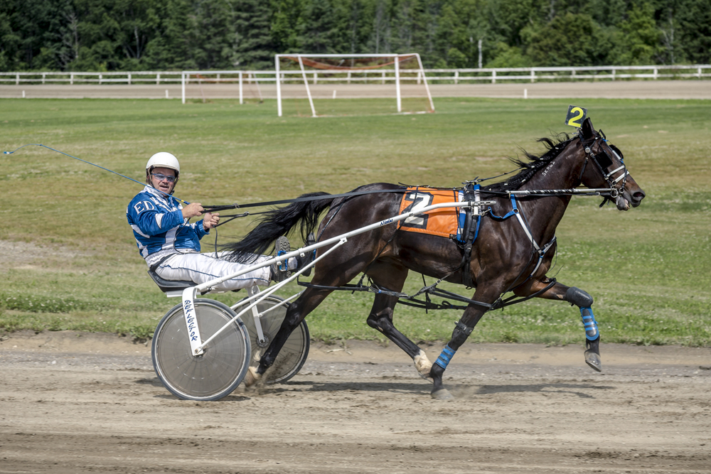 Circuit Régional des Courses de Chevaux du Québec - Hippodrome de Nouvelle - Tora Photography