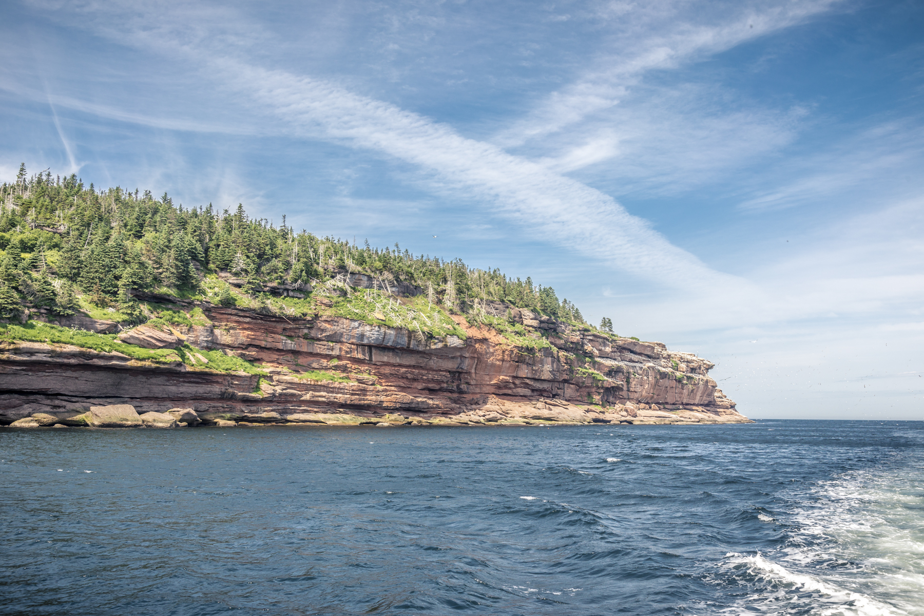 Bonaventure Island - Île Bonaventure - Percé - Quebec - Tora Photography