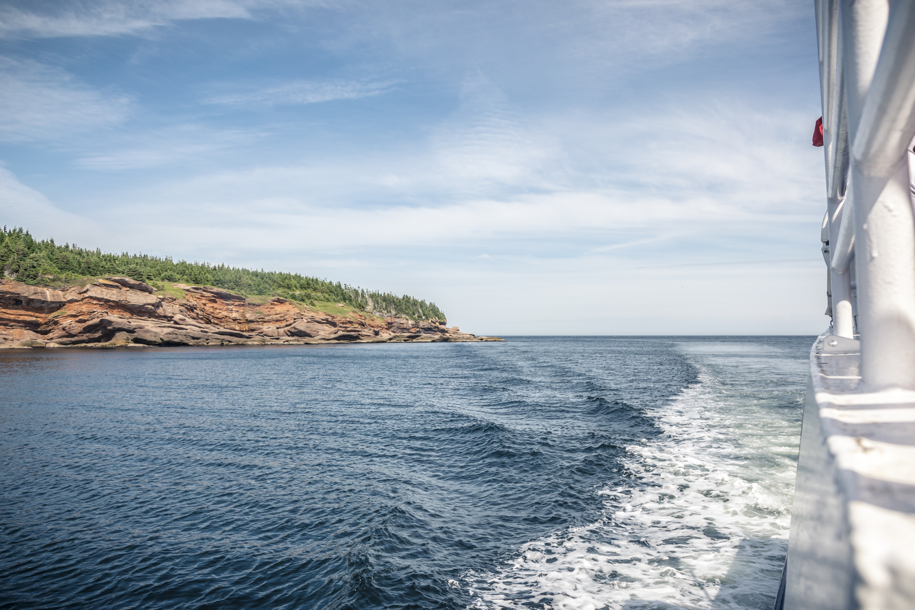 Bonaventure Island - Île Bonaventure - Percé - Quebec - Tora Photography